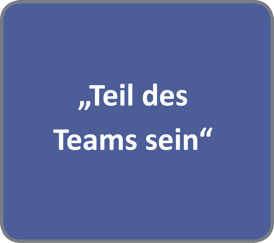 Qualifizierungsmodul "Teil des Teams sein"