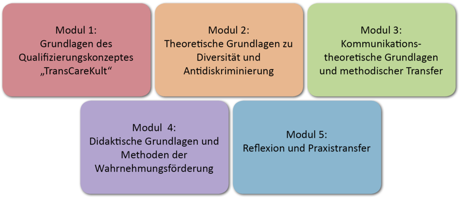 Module der Weiterbildung im Rahmen von TransCareKult